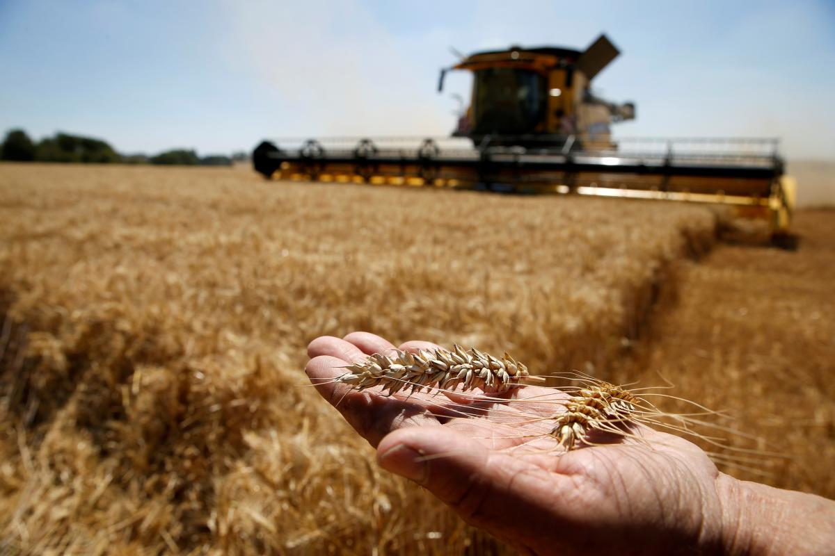 Blocked Ukrainian Grain Export: Will it be Found the Solution Soon?
